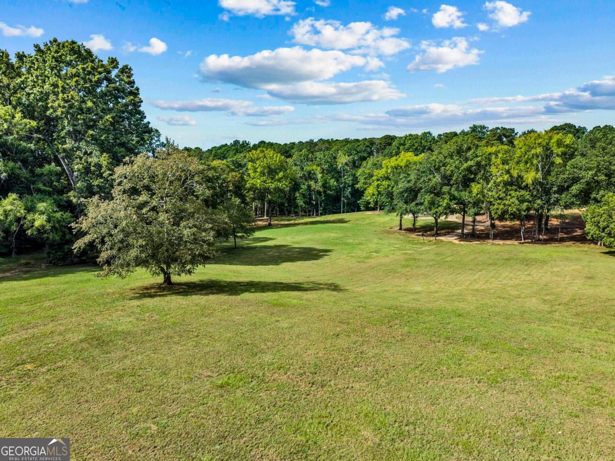 1901 Pine Grove Road Greensboro, GA 30642 - Photo 12 of 18 a view of a golf course with a lake