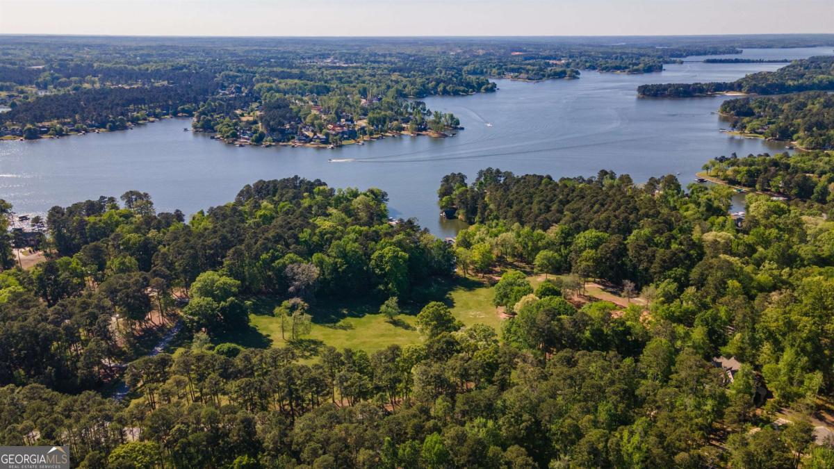 1901 Pine Grove Road Greensboro, GA 30642 - Photo 17 of 18 a view of a lake with a mountain view