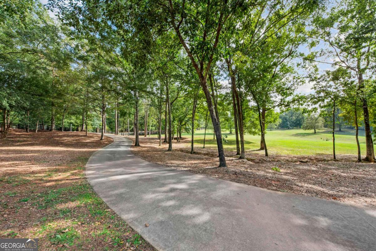 1901 Pine Grove Road Greensboro, GA 30642 - Photo 9 of 18 a view of a park with tree s