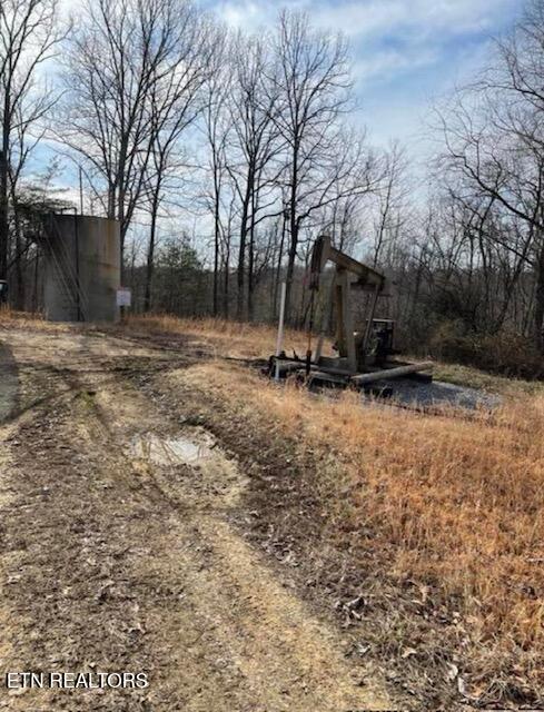 67.86-ac Jr Cox Road Lancing, TN 37770 - Photo 6 of 9 IMG_6747