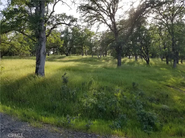 a view of outdoor space with trees all around