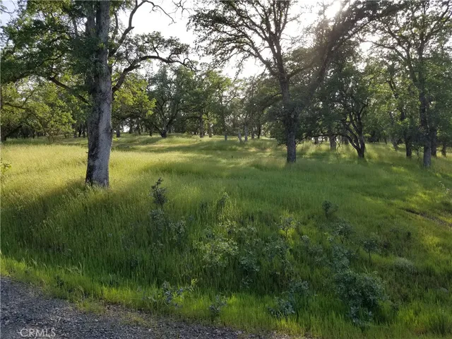 a view of outdoor space with trees all around