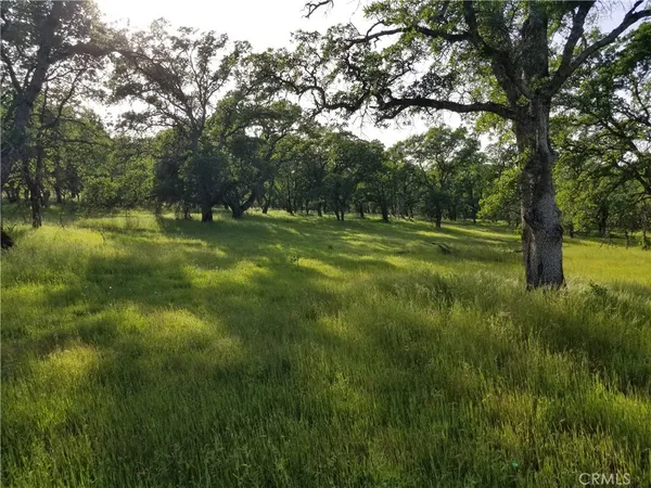a view of field with trees in the background