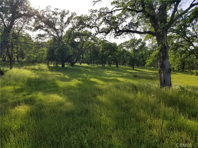 a view of field with trees in the background