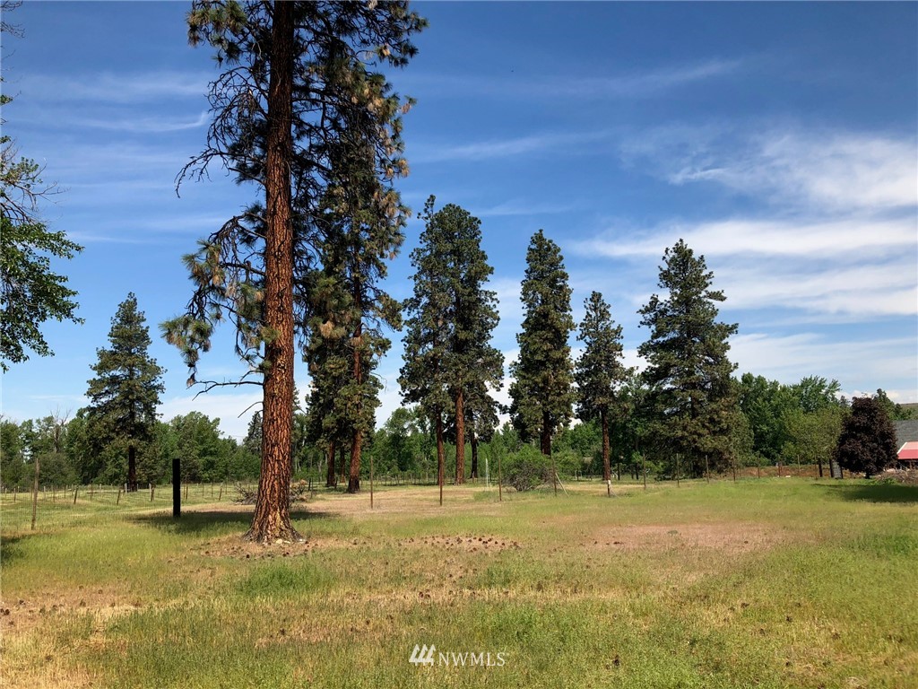 75 Klocke Road Ellensburg, WA 98926 - Photo 23 of 25 Gallery Image 23