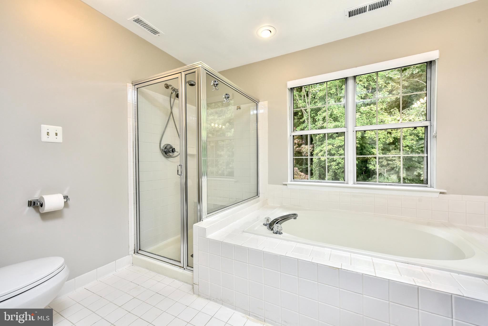 21297 Mirror Ridge Place Sterling, VA 20164 - Photo 27 of 44 LARGE SOAKING TUB