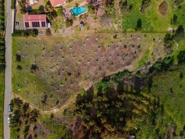 a view of a yard with a tree