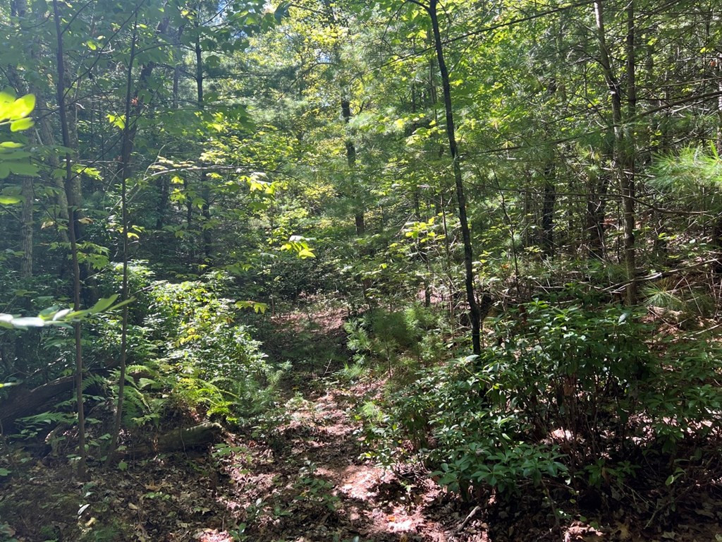 Lot 6-7 Donley Road Murphy, NC 28906 - Photo 14 of 14