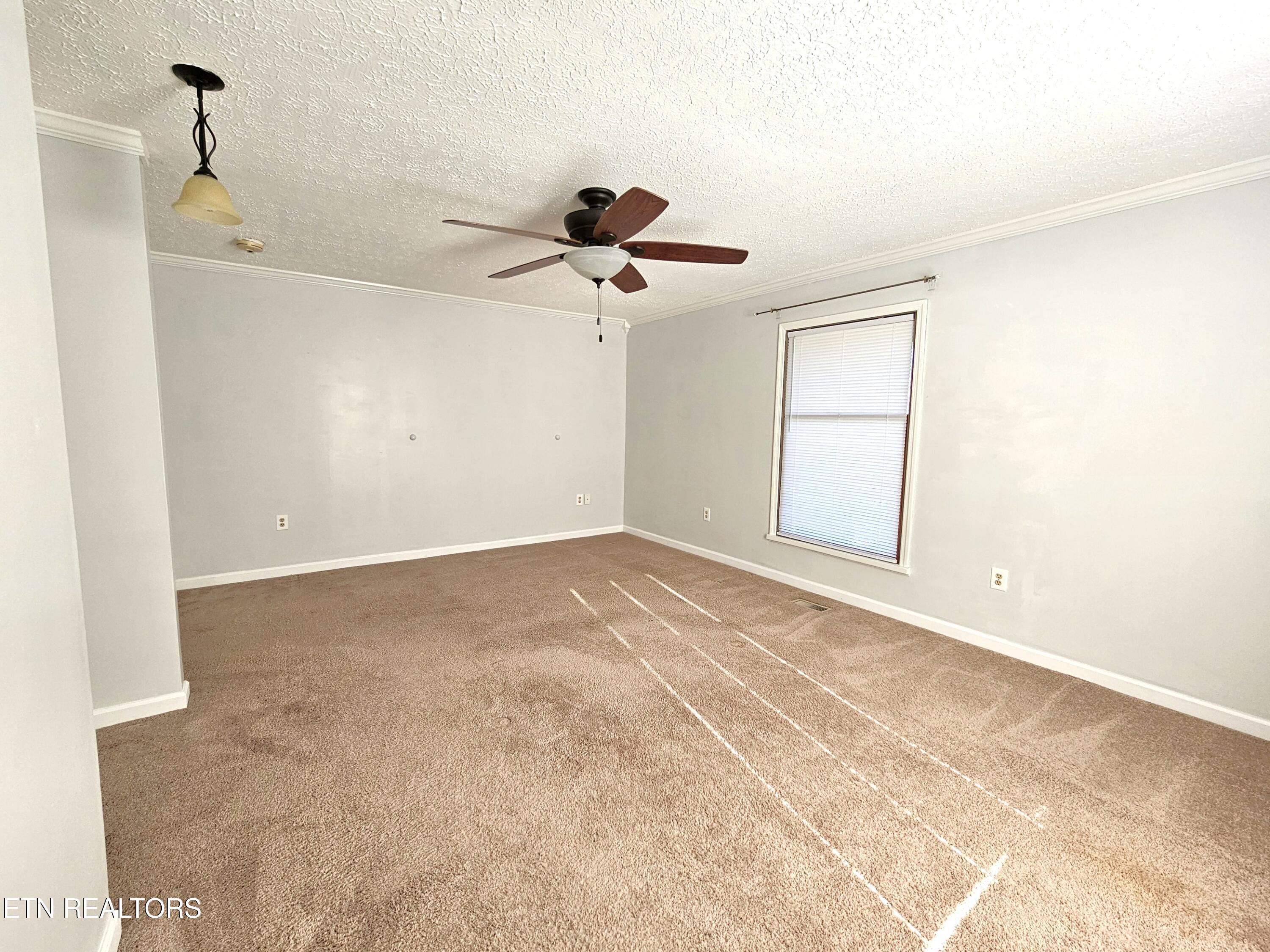 9430 North Ruggles Ferry Pike Strawberry Plains, TN 37871 - Photo 14 of 27 Primary bedroom