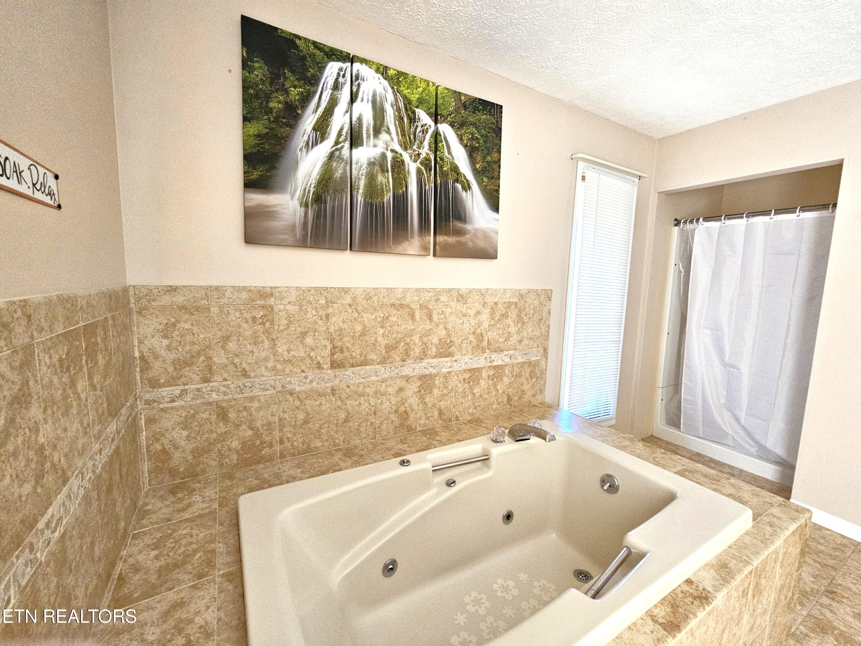 9430 North Ruggles Ferry Pike Strawberry Plains, TN 37871 - Photo 16 of 27 Ensuite whirlpool tub