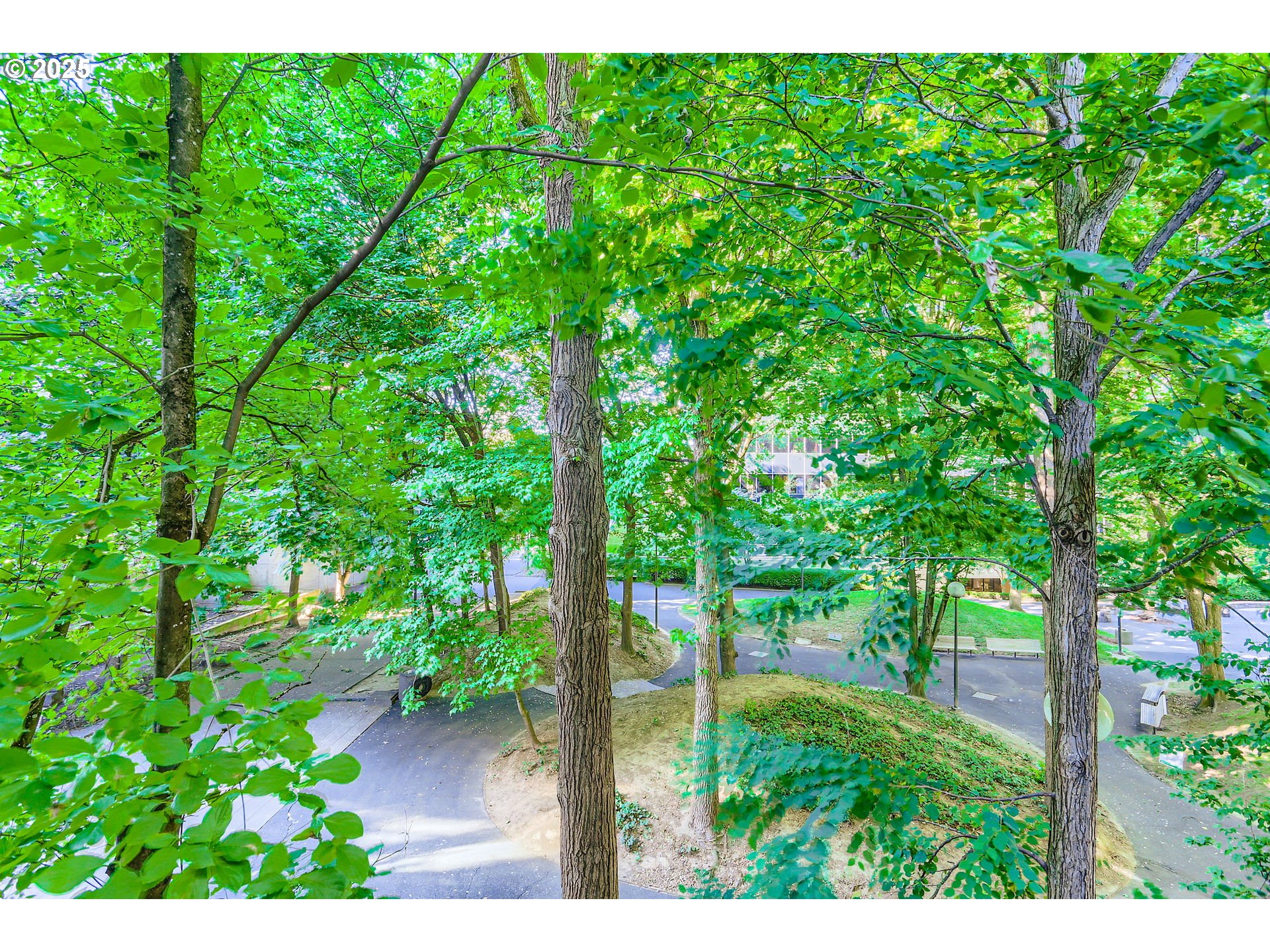 255 Southwest Harrison Street, Unit TH1 Portland, OR 97201 - Photo 9 of 40 View