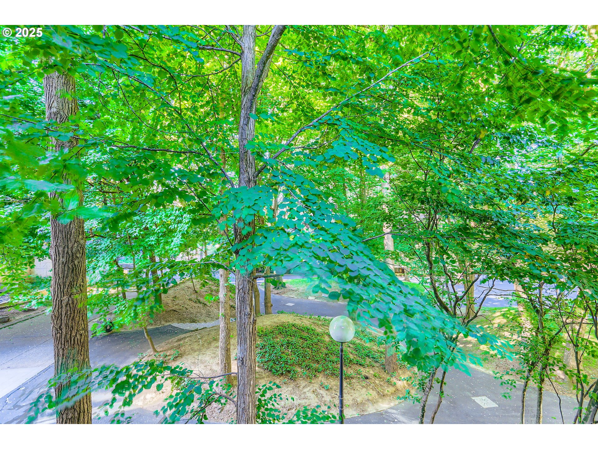 255 Southwest Harrison Street, Unit TH1 Portland, OR 97201 - Photo 10 of 40 View