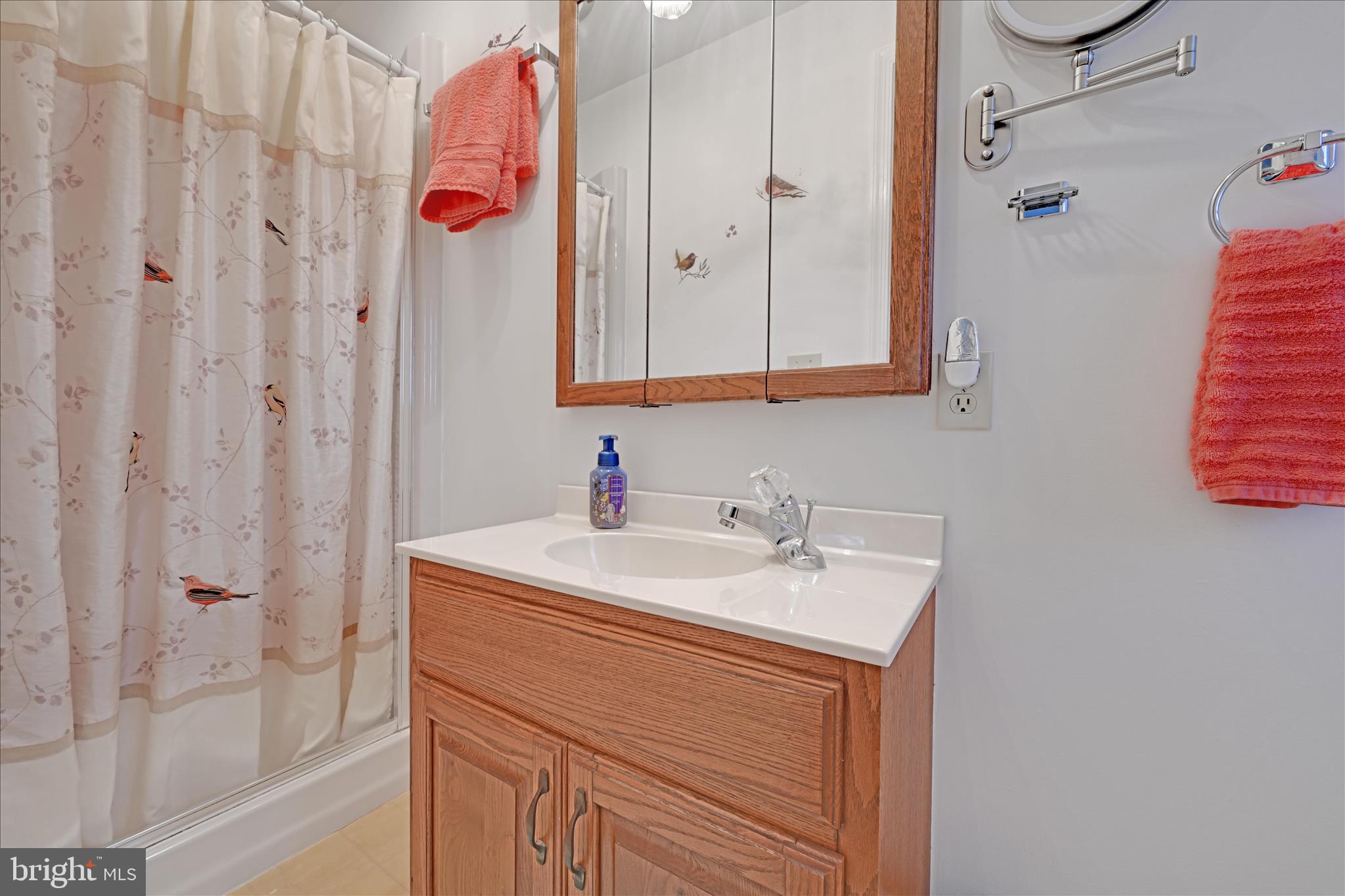 460 Shirksville Road Jonestown, PA 17038 - Photo 20 of 42 a bathroom with a sink vanity and shower