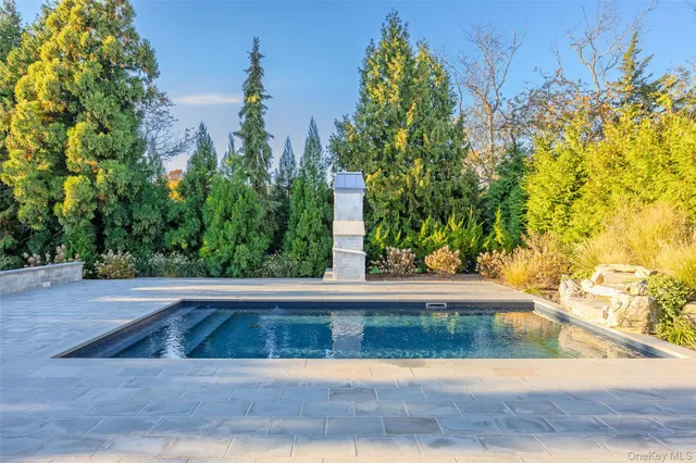 a view of a garden with large trees