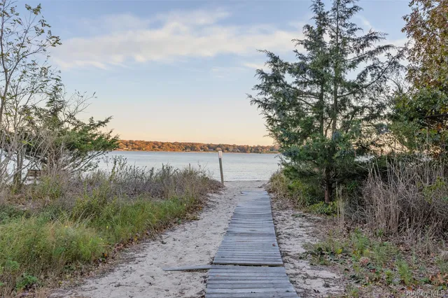 a view of a dry yard with wooden fence