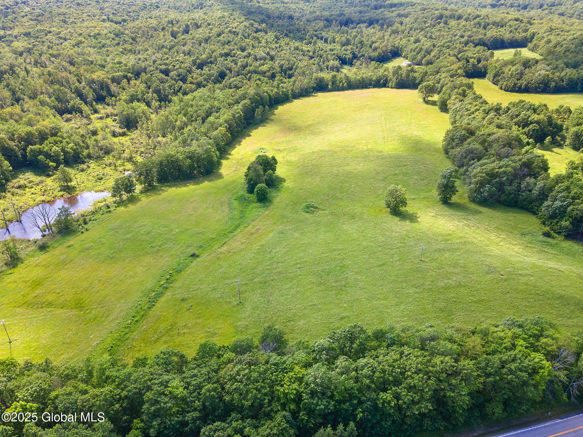 755 Highway 10 Jefferson, NY 12167 - Photo 42 of 47 52-577NY-10_51