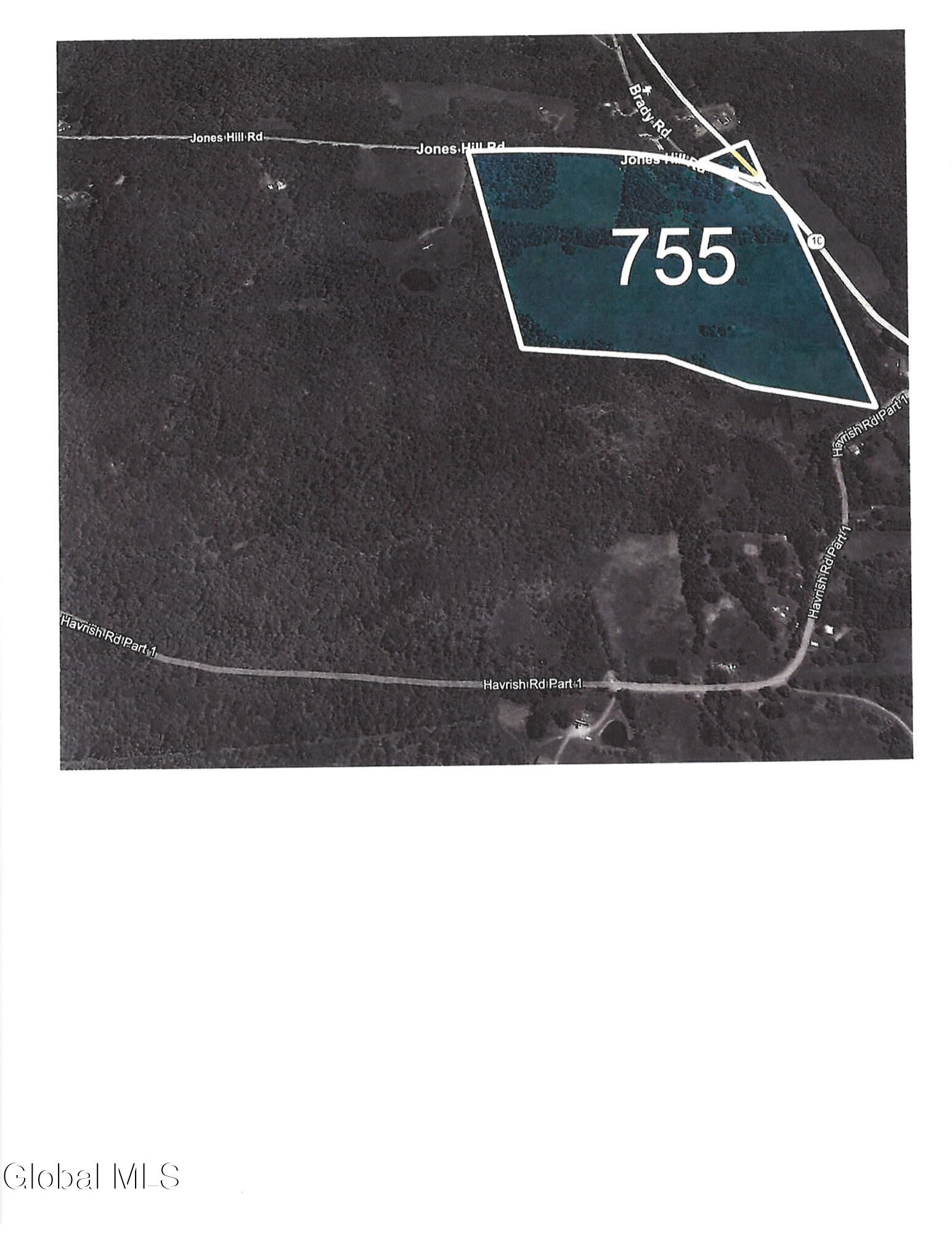 755 Highway 10 Jefferson, NY 12167 - Photo 47 of 47 20260115095740_00001