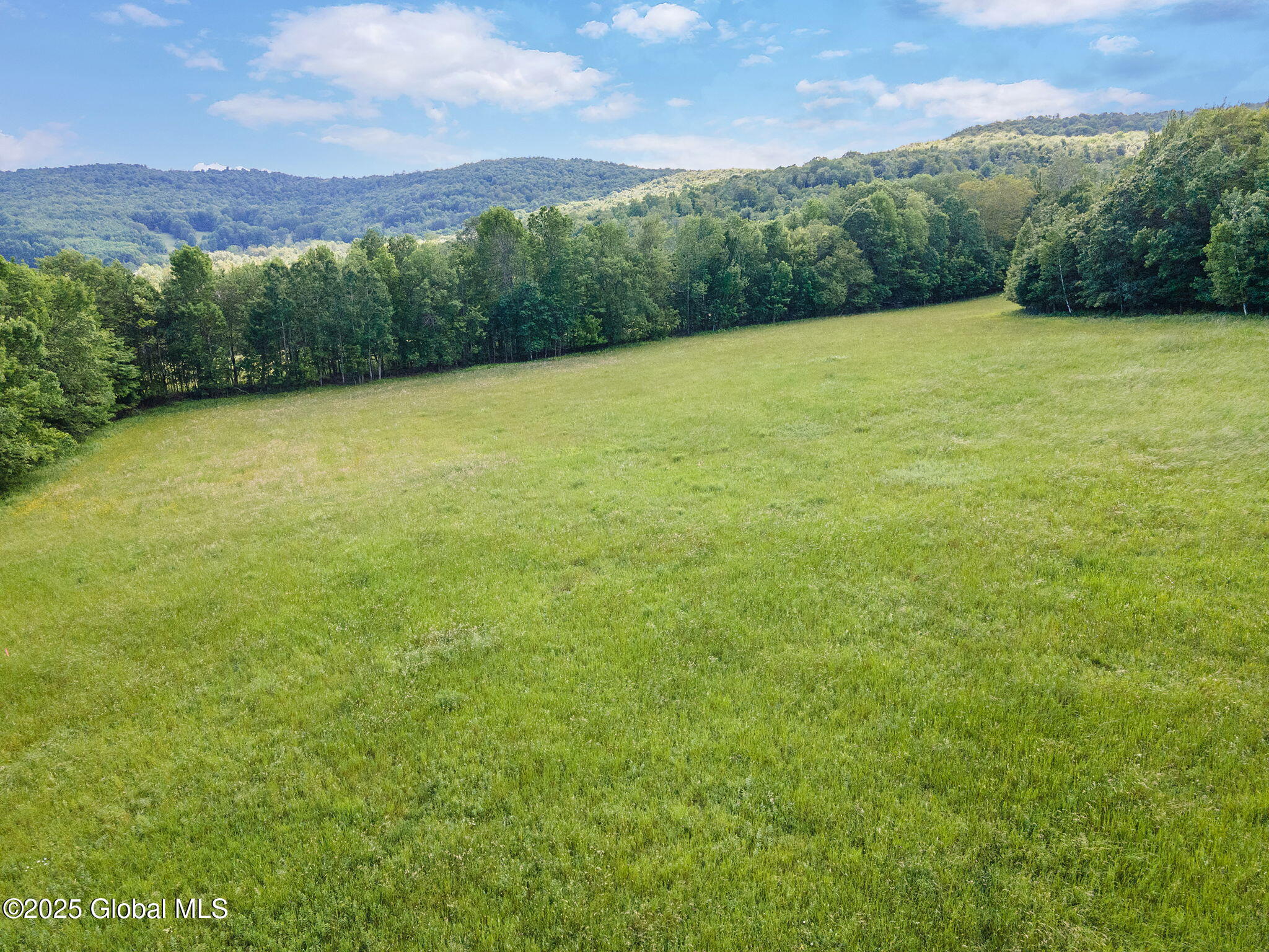 755 Highway 10 Jefferson, NY 12167 - Photo 7 of 47 49-577NY-10_48