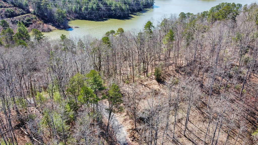 95 Cateye Road Robbinsville, NC 28771 - Photo 7 of 18 Gallery Image 7