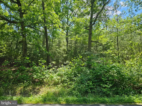 $137,500 | 0 Mt Olive Road, Beaverdam, VA 23015