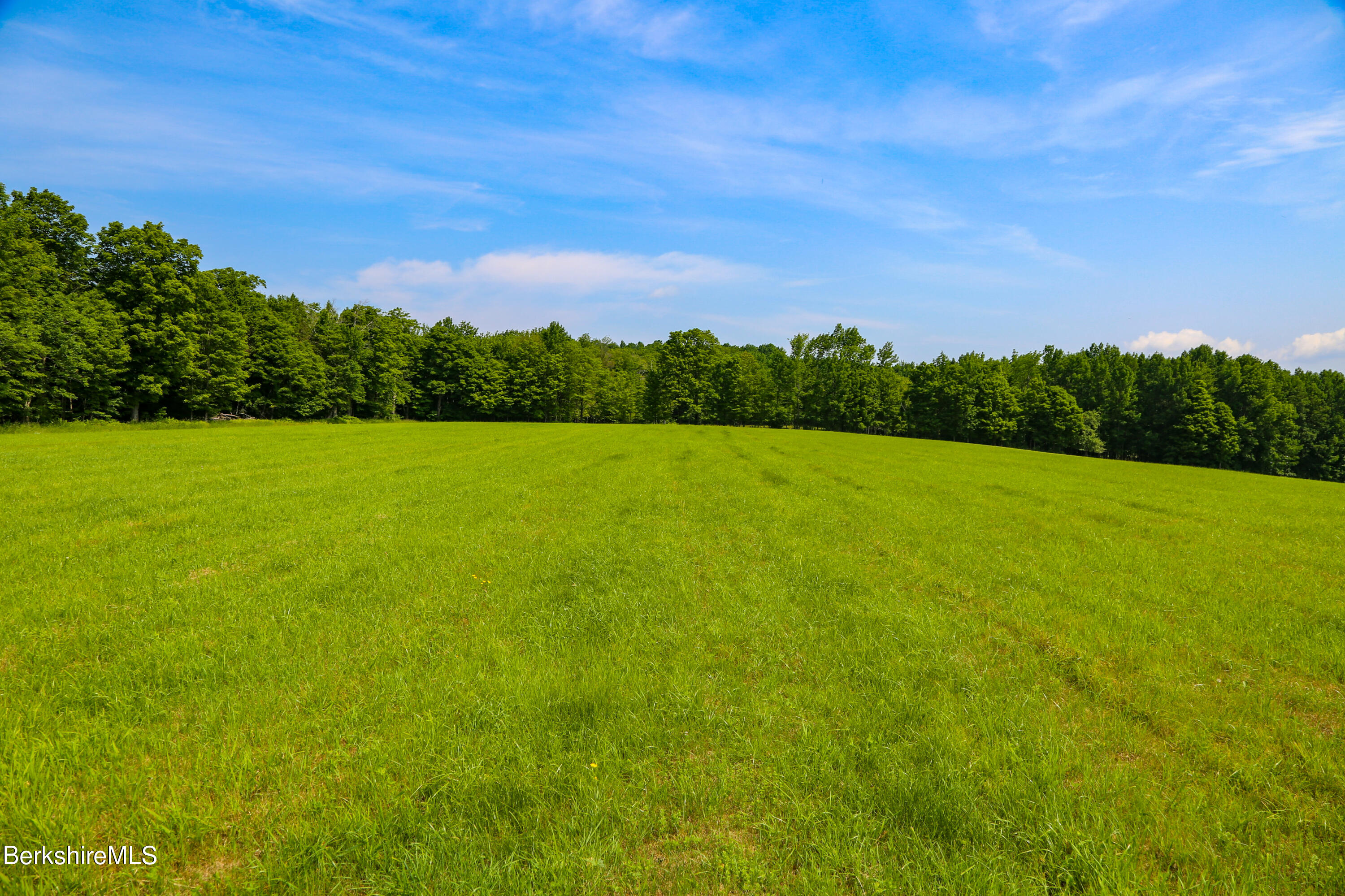 61 Sumner Stetson Road Heath, MA 01339 - Photo 28 of 34 a view of field with trees in the background