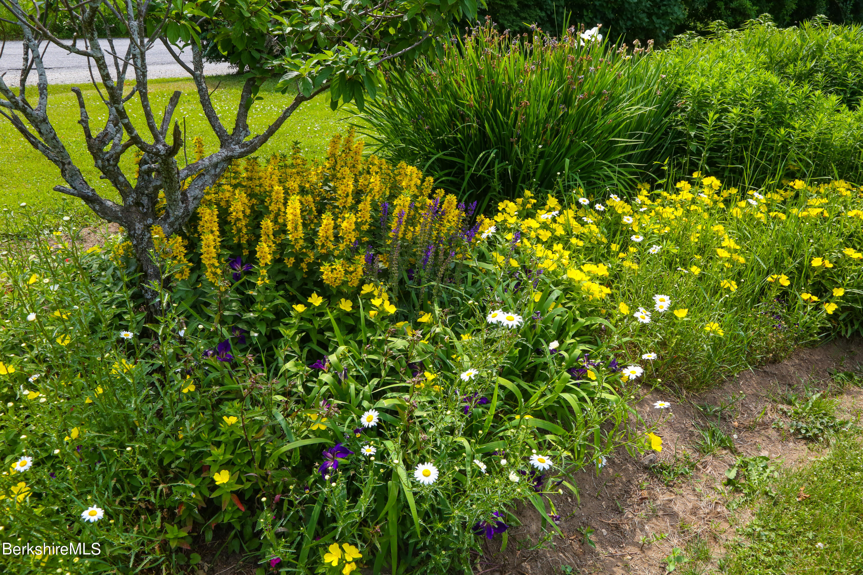 61 Sumner Stetson Road Heath, MA 01339 - Photo 34 of 34 a backyard of a house