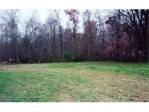 None Texas Ridge Road Gosport, IN 47433 - Photo 1 of 1