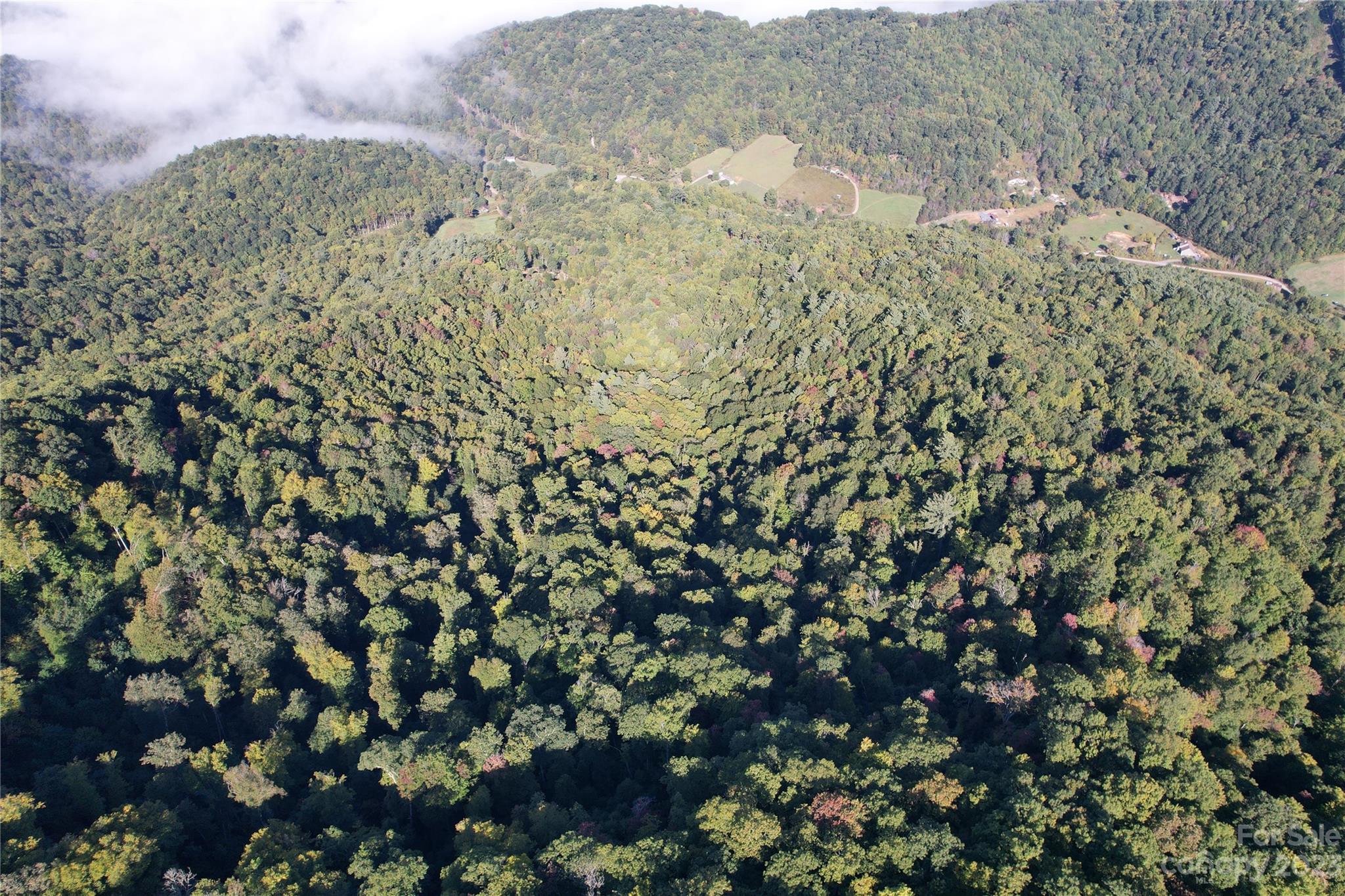 0 Water Wheel Cove Clyde, NC 28721 - Photo 2 of 4