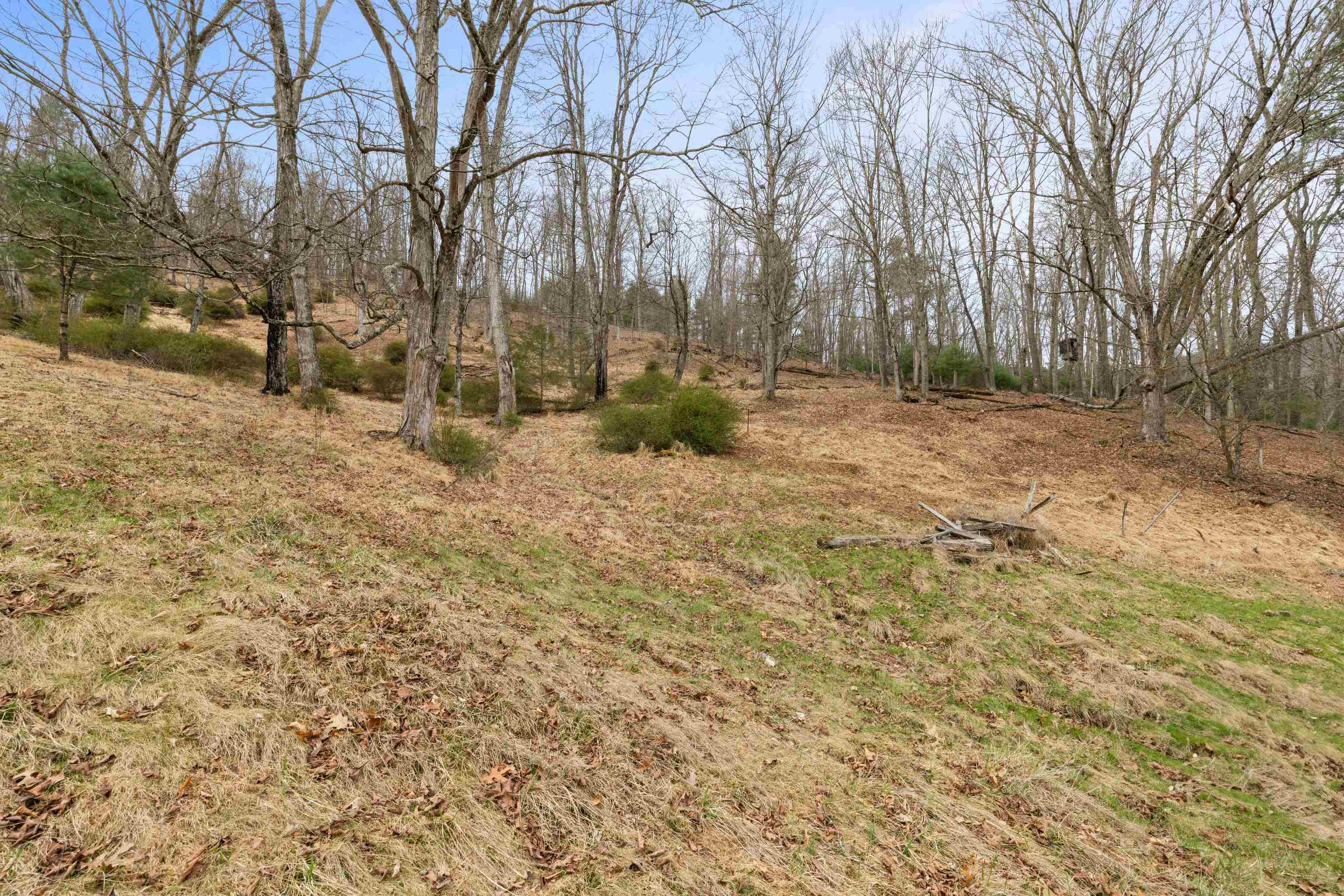 1851 Cullers Run Road Mathias, WV 26812 - Photo 55 of 73