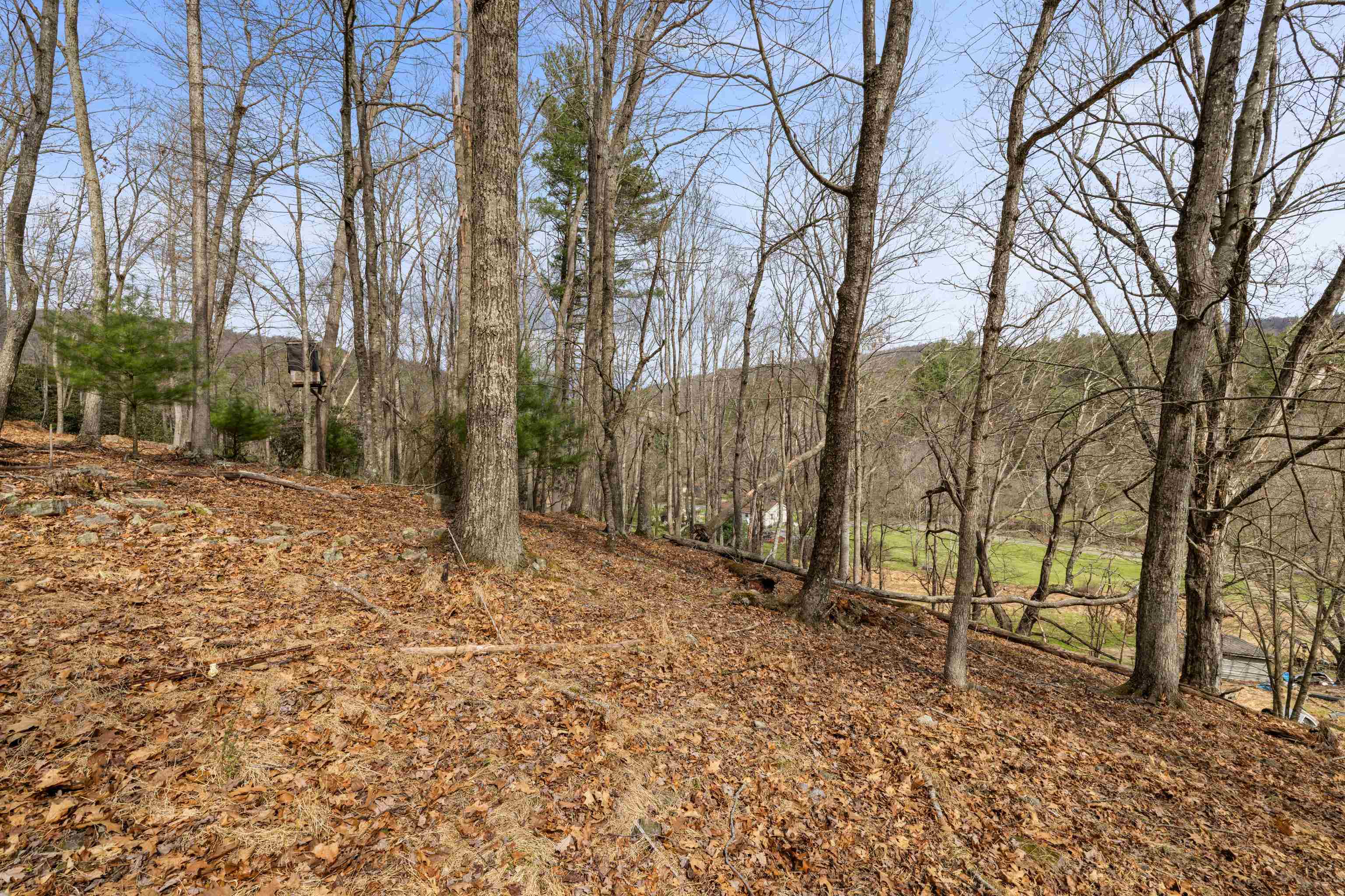 1851 Cullers Run Road Mathias, WV 26812 - Photo 56 of 73