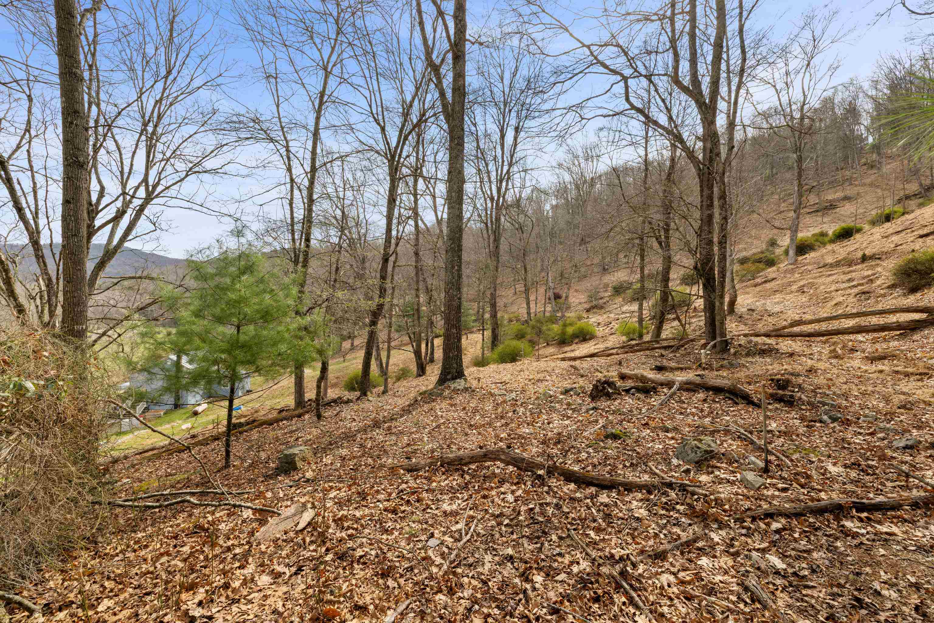 1851 Cullers Run Road Mathias, WV 26812 - Photo 57 of 73