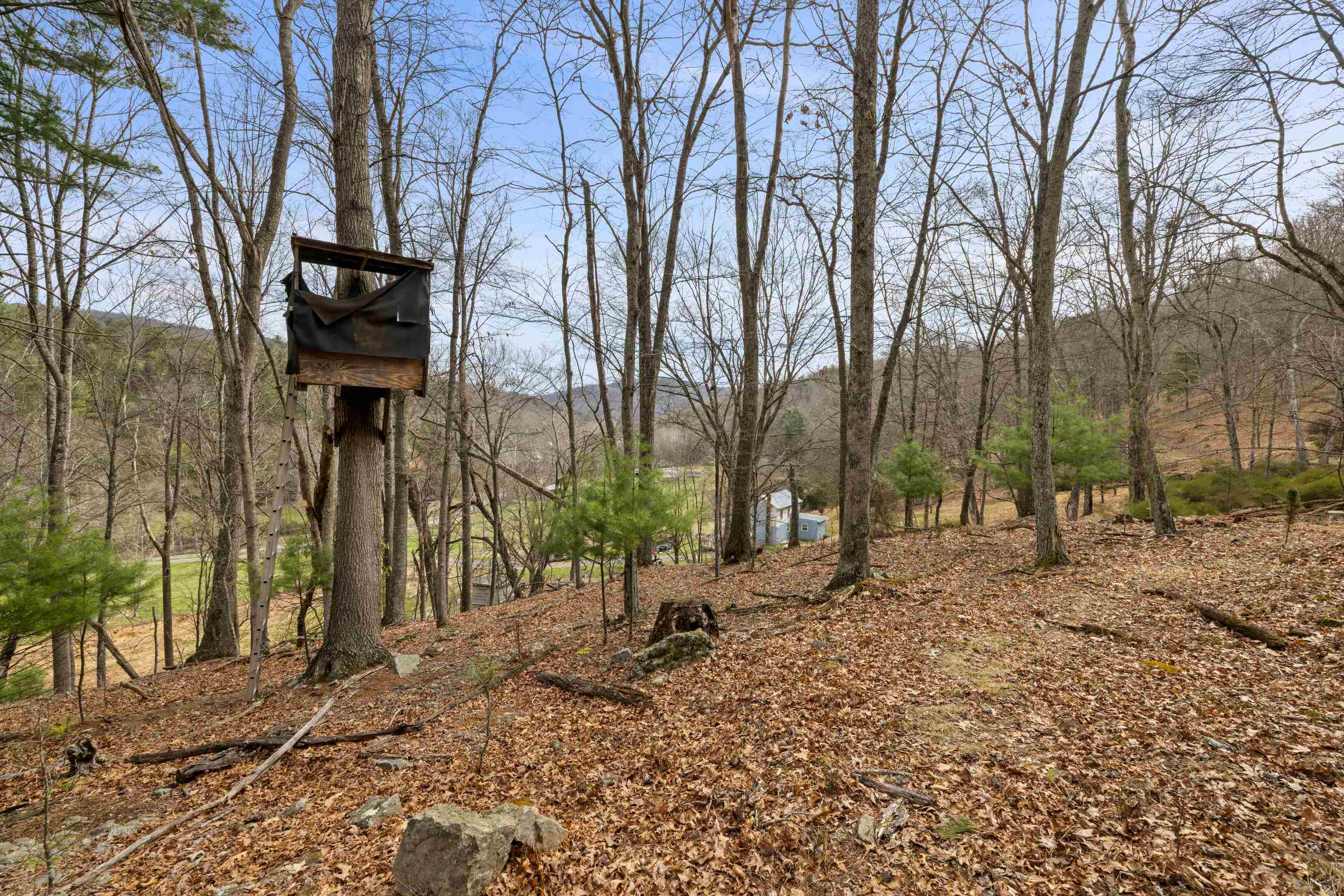 1851 Cullers Run Road Mathias, WV 26812 - Photo 58 of 73