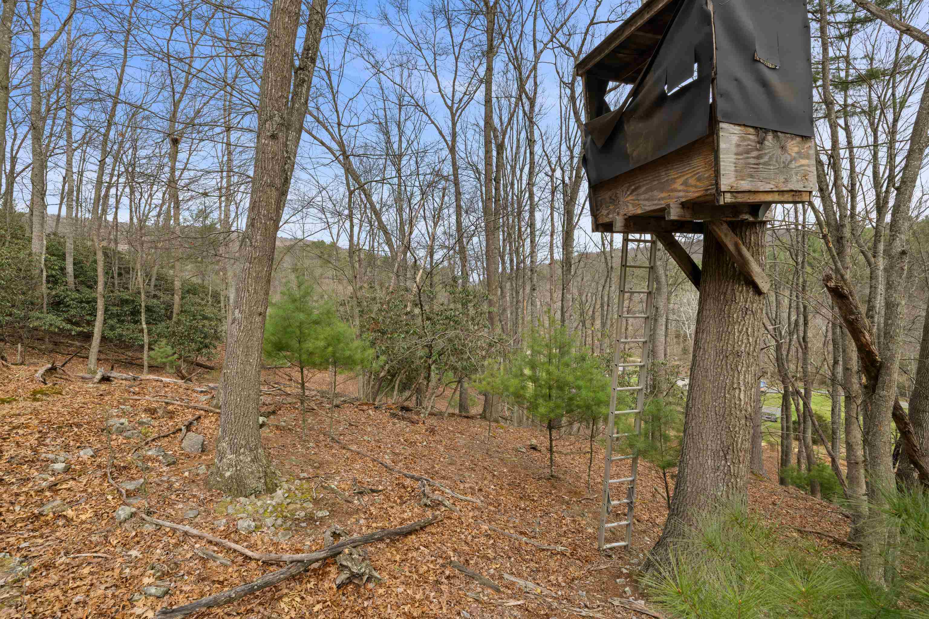 1851 Cullers Run Road Mathias, WV 26812 - Photo 60 of 73