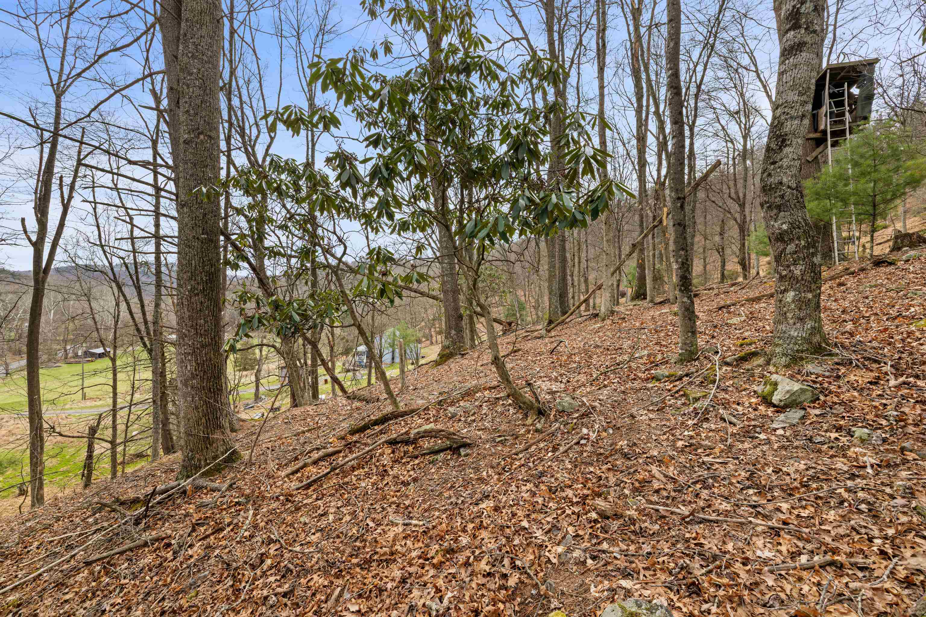 1851 Cullers Run Road Mathias, WV 26812 - Photo 61 of 73