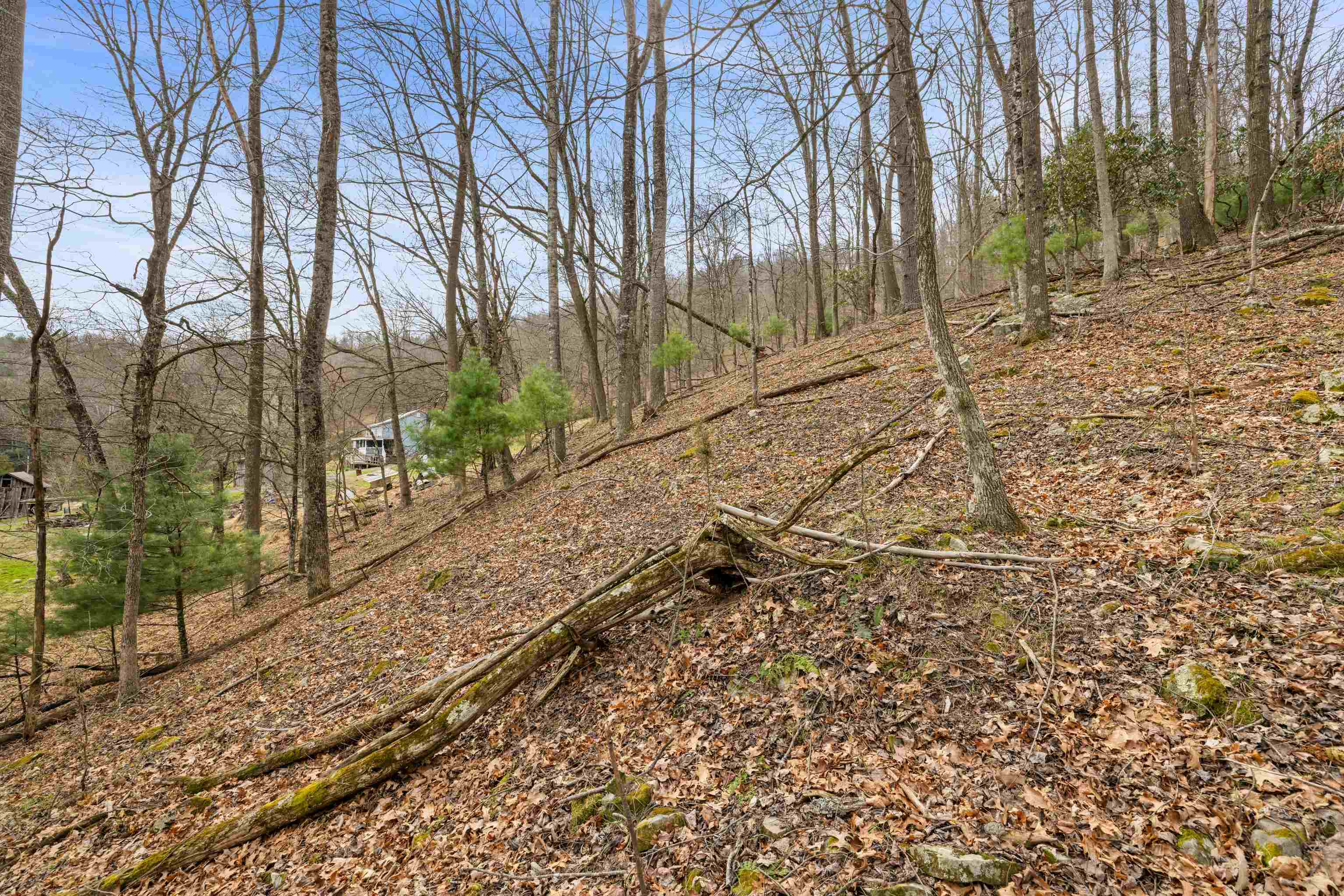 1851 Cullers Run Road Mathias, WV 26812 - Photo 62 of 73