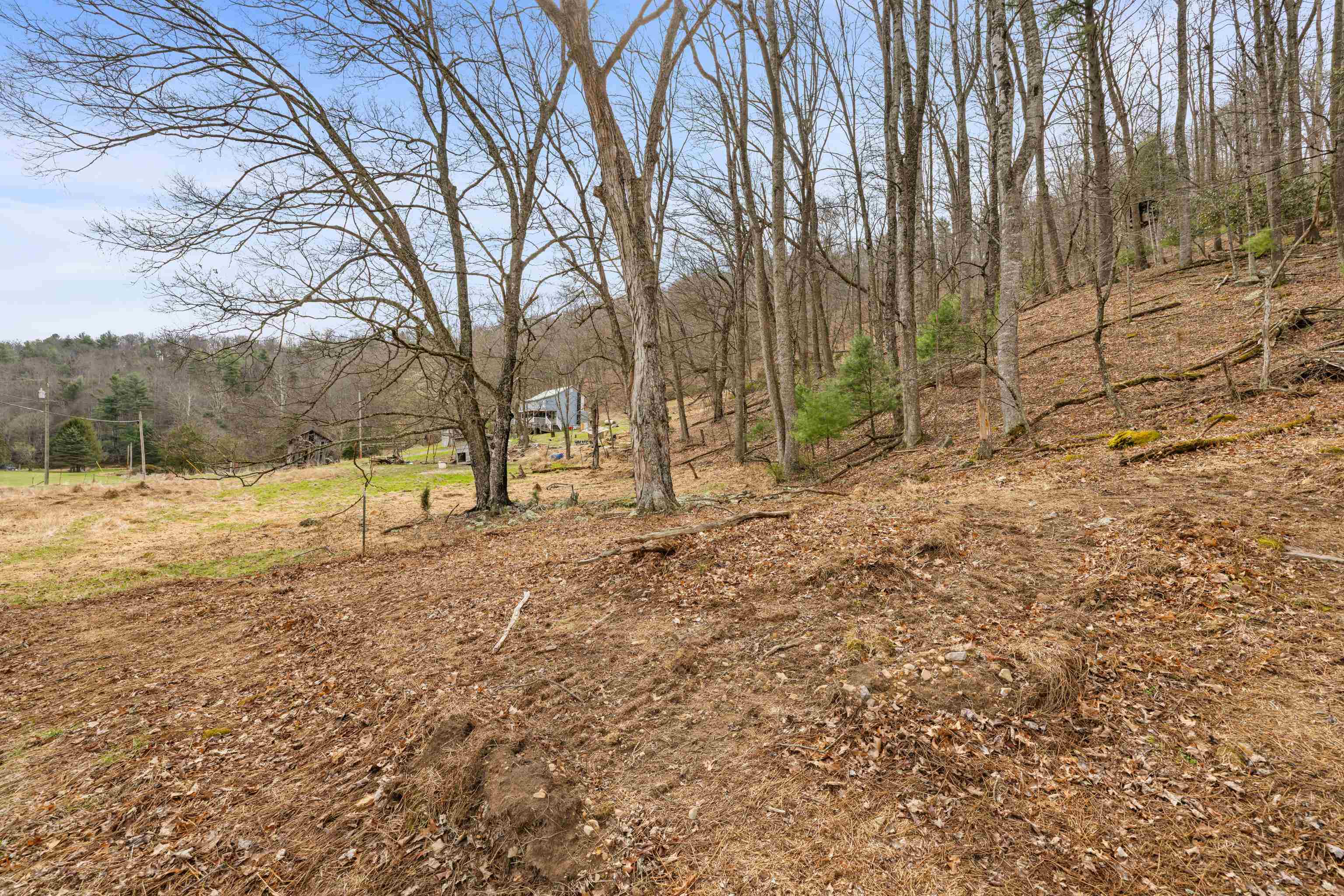 1851 Cullers Run Road Mathias, WV 26812 - Photo 63 of 73