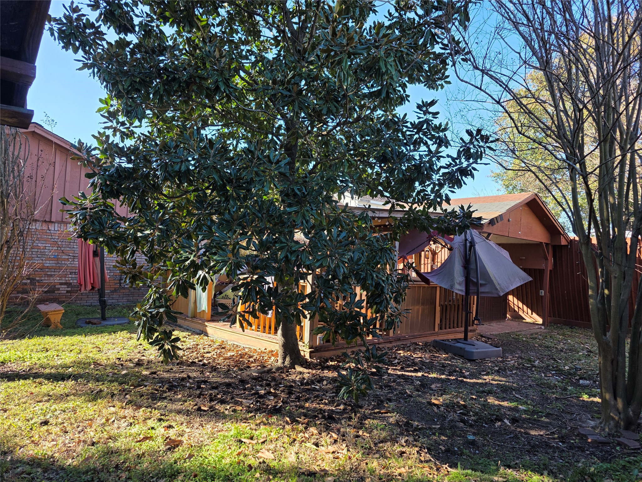10403 White Clover Drive Houston, TX 77089 - Photo 11 of 11 a view of a trees in a yard