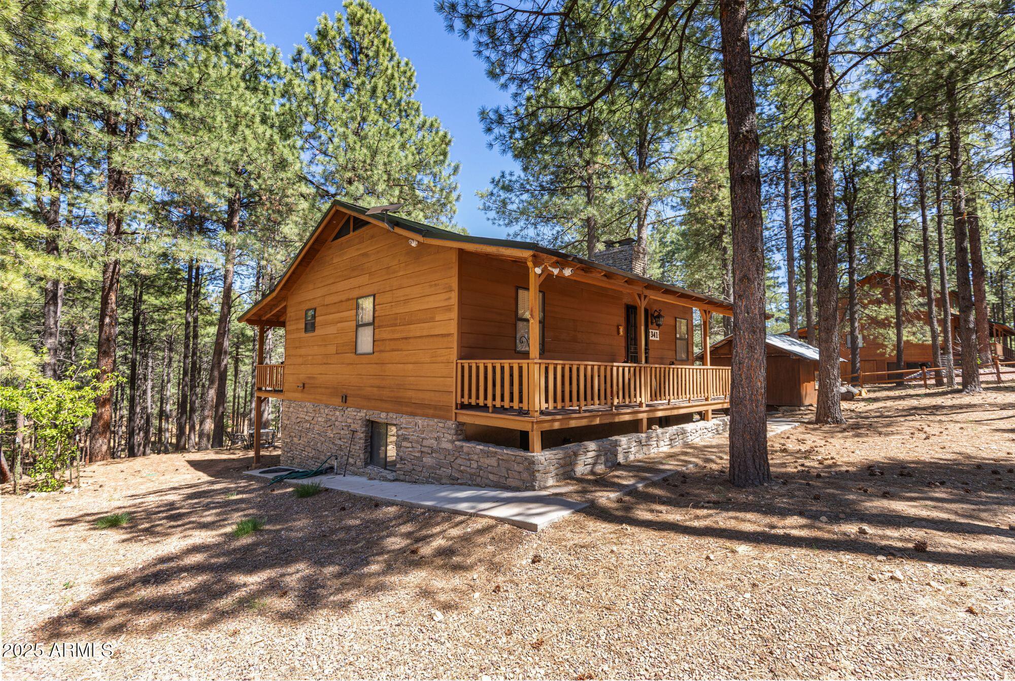 341 Pinto Road Forest Lakes, AZ 85931 - Photo 5 of 36