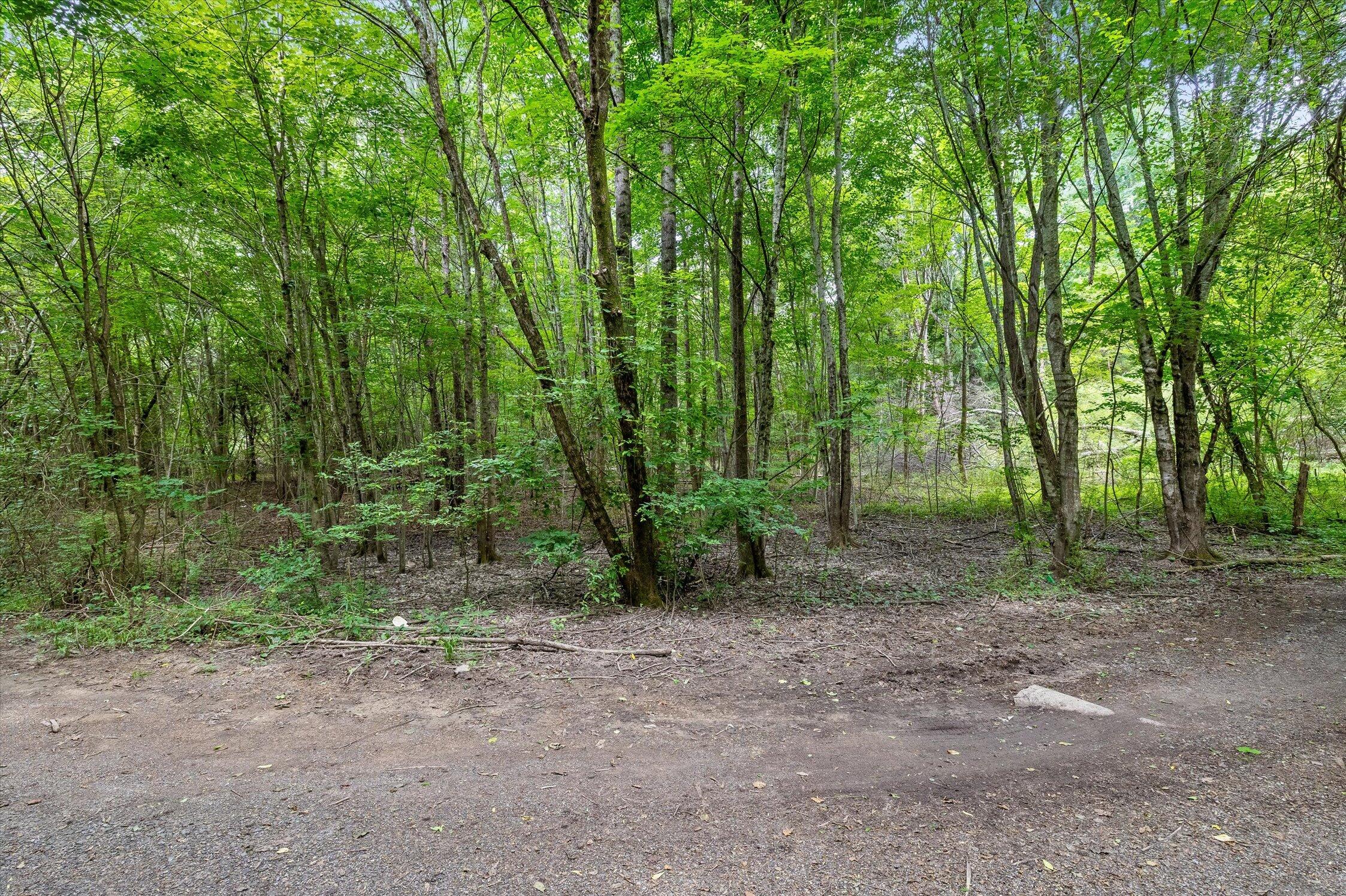 1906 Spradling Road Soddy-Daisy, TN 37379 - Photo 7 of 27 08-1906 Spradling-5