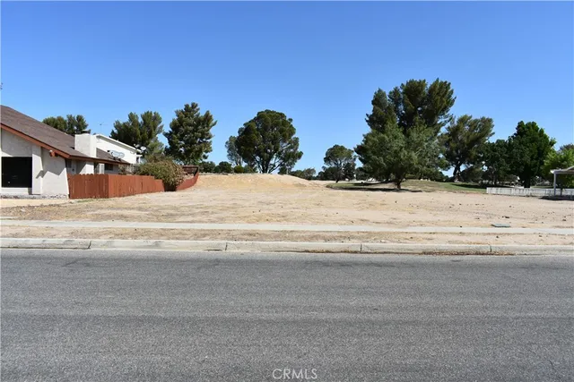 a view of road with large trees