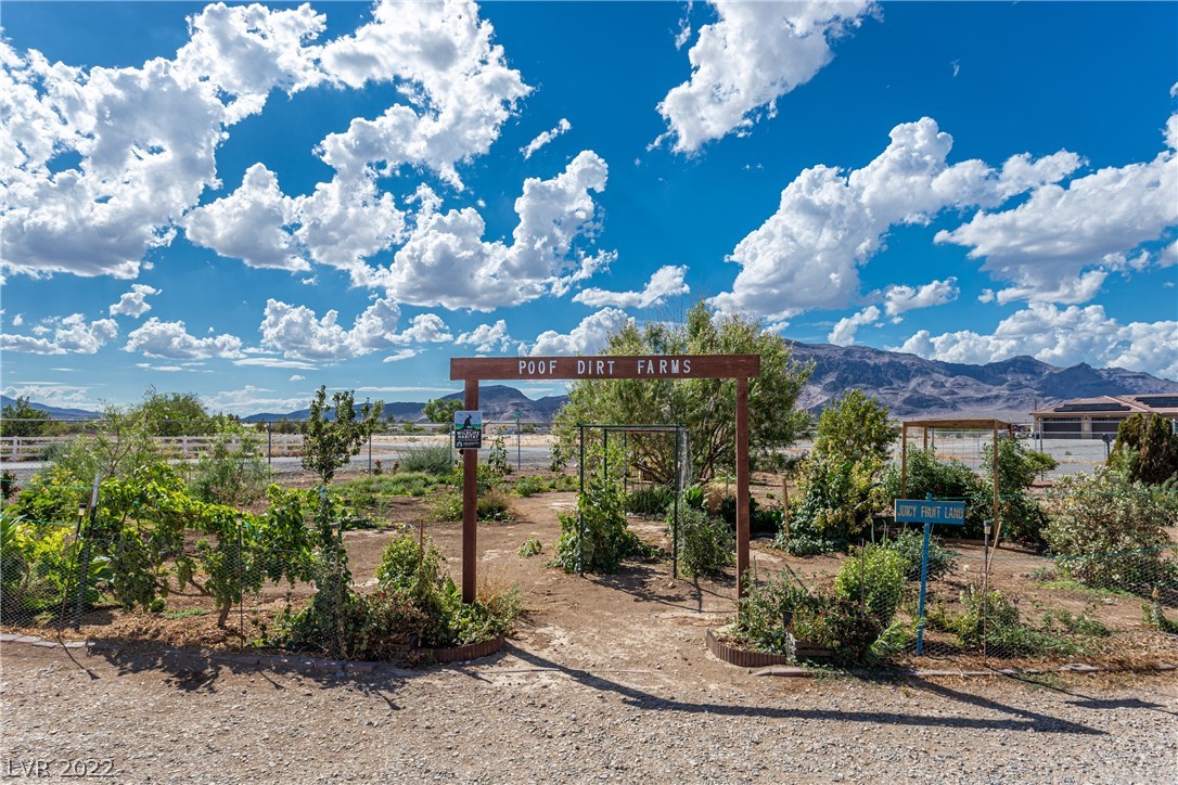 2471 Gally Road Pahrump, NV 89060 - Photo 29 of 38 Gallery Image 29