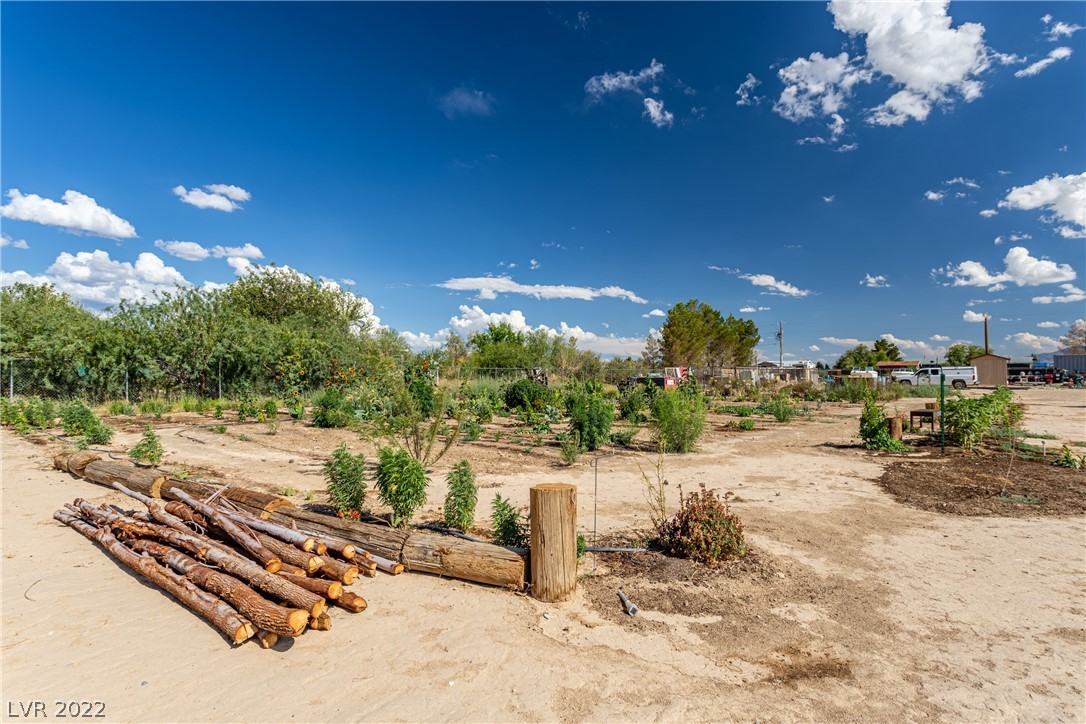 2471 Gally Road Pahrump, NV 89060 - Photo 30 of 38 Gallery Image 30