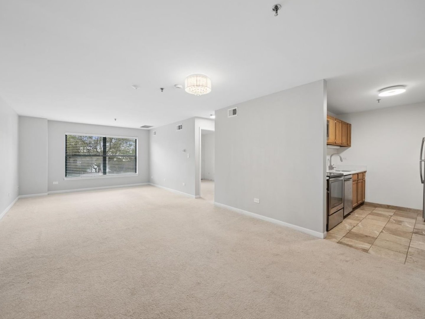 3265 Kirchoff Road, Unit 217 Rolling Meadows, IL 60008 - Photo 4 of 16