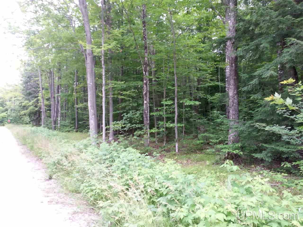 16 Mile Lake Road Munising, MI 49862 - Photo 1 of 16