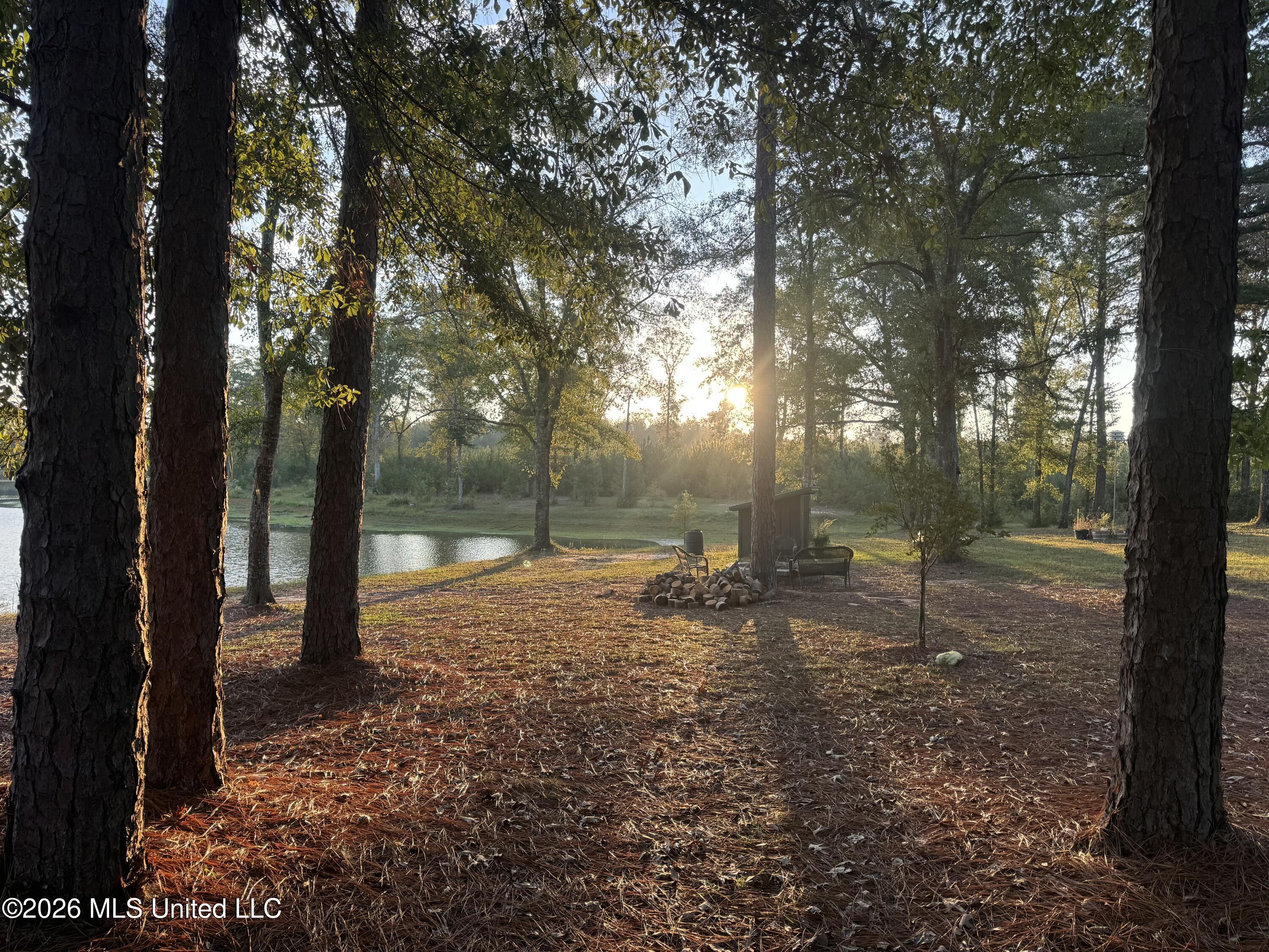 271 Shadeville Road Wiggins, MS 39577 - Photo 45 of 45 IMG_6834-preview