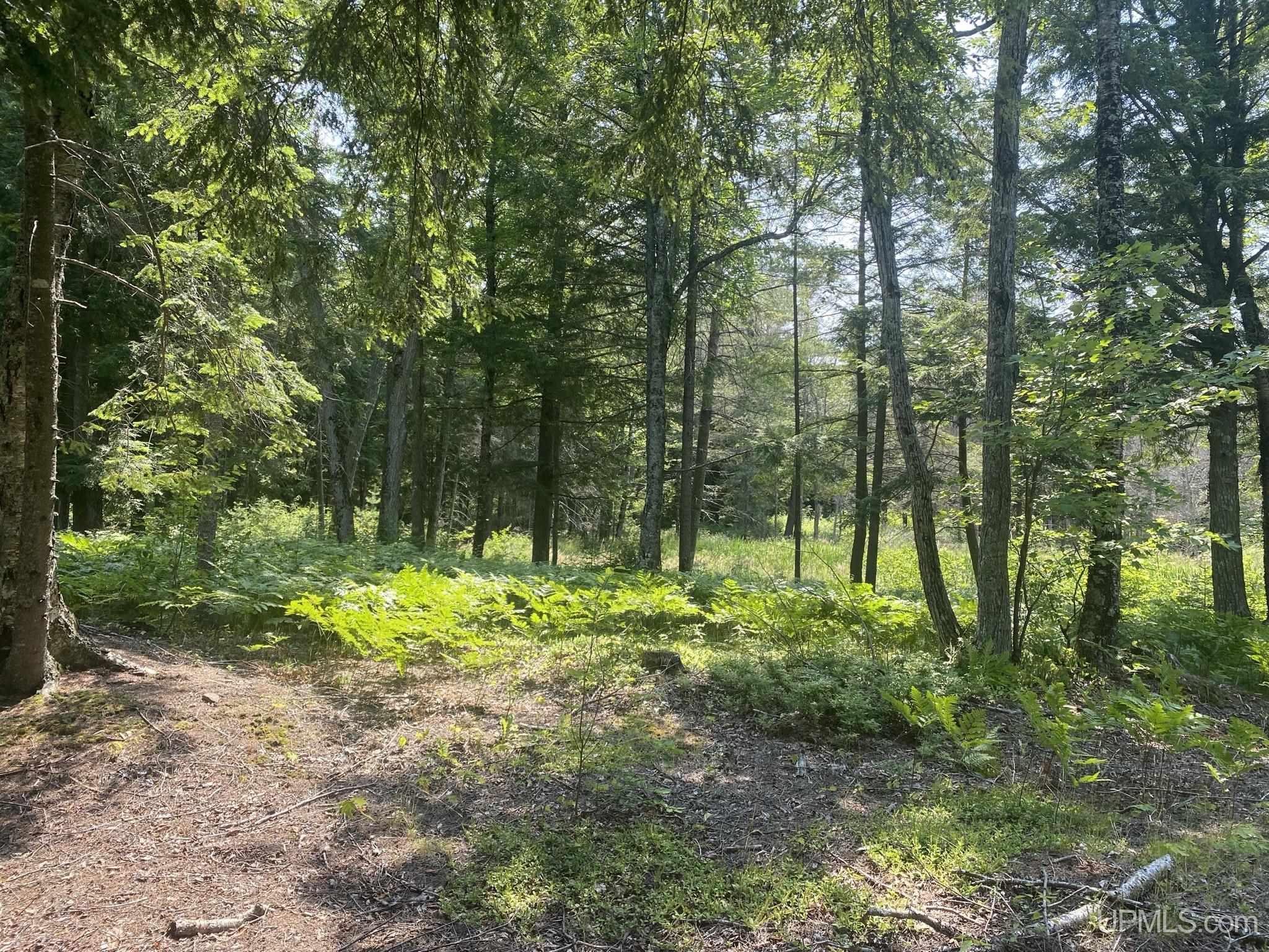 Tbd Tbd En-a-wen-da-win Road Watersmeet, MI 49969 - Photo 13 of 35