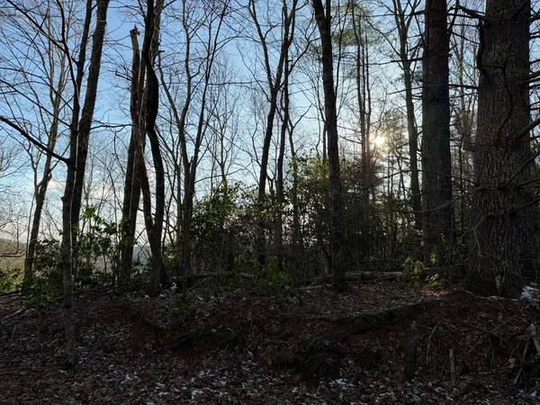 $25,000 | Lot 43 Laurel Lane, Murphy, NC 28906