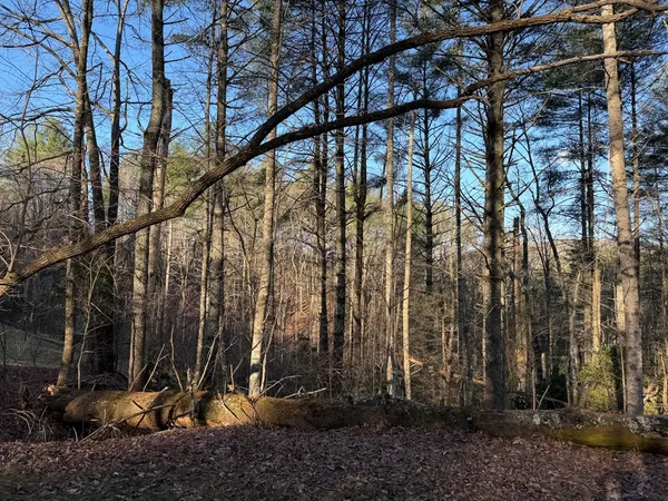 $25,000 | Lot 43 Laurel Lane, Murphy, NC 28906