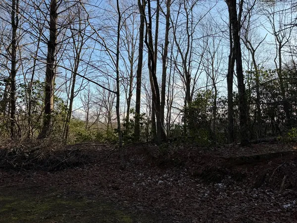 $25,000 | Lot 43 Laurel Lane, Murphy, NC 28906