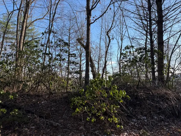 $25,000 | Lot 43 Laurel Lane, Murphy, NC 28906
